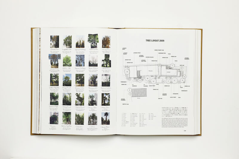 trees diagram